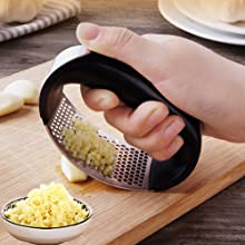 Stainless Steel Garlic Press