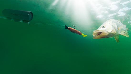 GoFish Cam