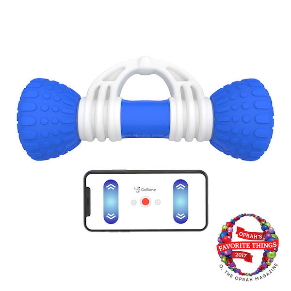 GoBone - Pet Smart Bone