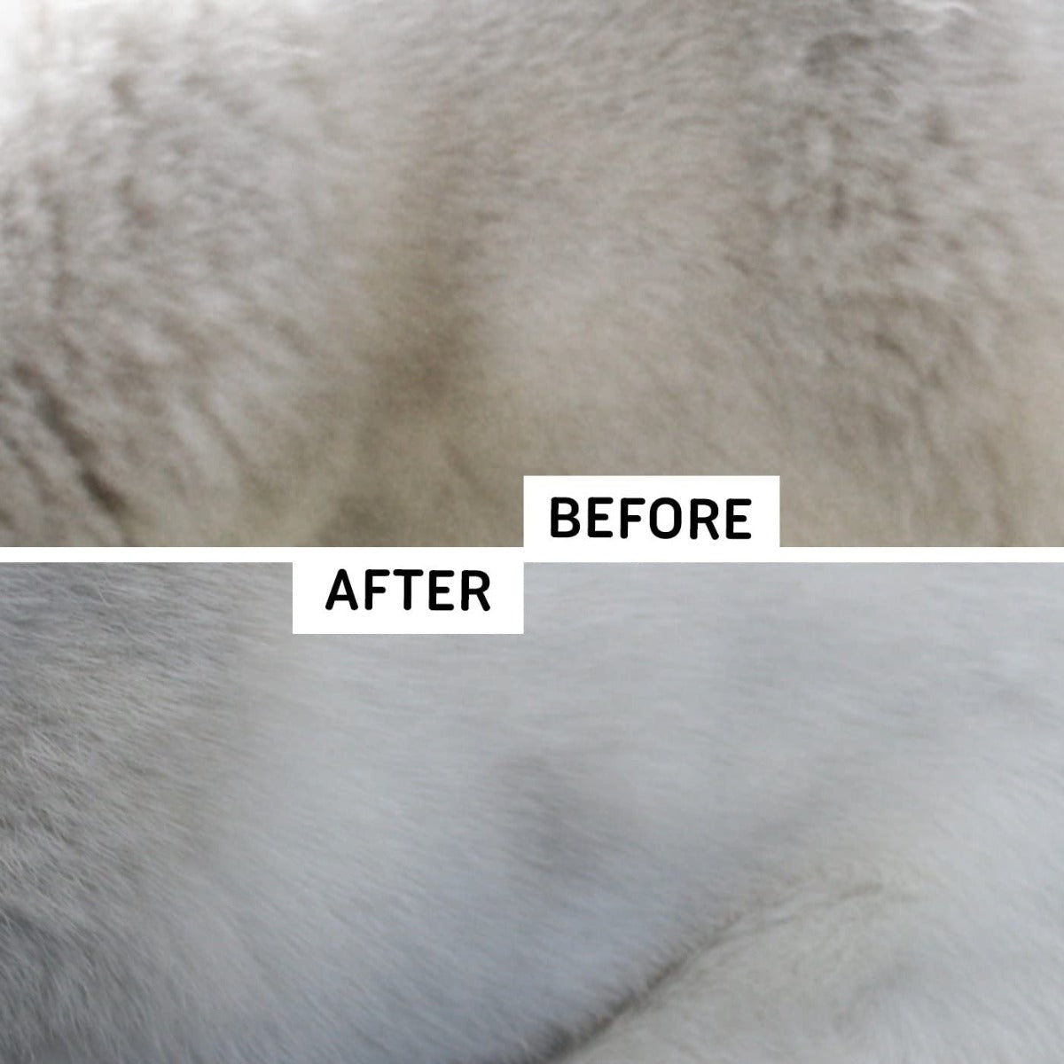 GoPets Self Cleaning Grooming Slicker Brush for Cats and Dogs