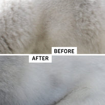 GoPets Self Cleaning Grooming Slicker Brush for Cats and Dogs