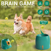 Greenvine Automatic Dog Ball Launcher Machine 6 Balls Included
