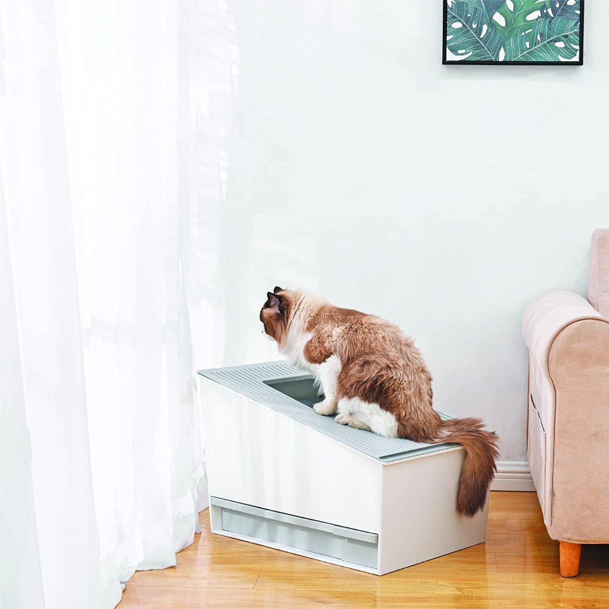 HONEY CARE Automatic Self-Cleaning Cat Litter Boxes for Multiple Cats, APP & Alexa Voice System Smart Secure Control