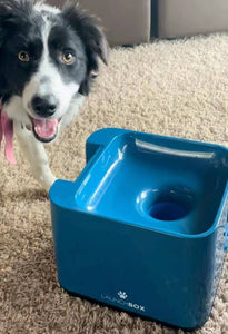 IDOGMATE Automatic Tennis Ball Launcher/ Thrower for Dog (Big Pet Launcher)