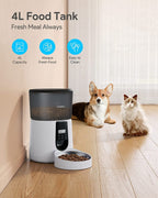 KATALIC Clog-free 4L Automatic Cat Food Dispenser with Pet Grooming Glove Sliding Lock Lid Storage Timed Feeder, Voice Recorder, Programmable Meal & Portion for Cat and Dogs