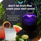 Katchy Automatic Indoor Insect and Flying Bugs Trap with UV Light Fan, Sticky Glue Boards, No Zapper, Light Sensor