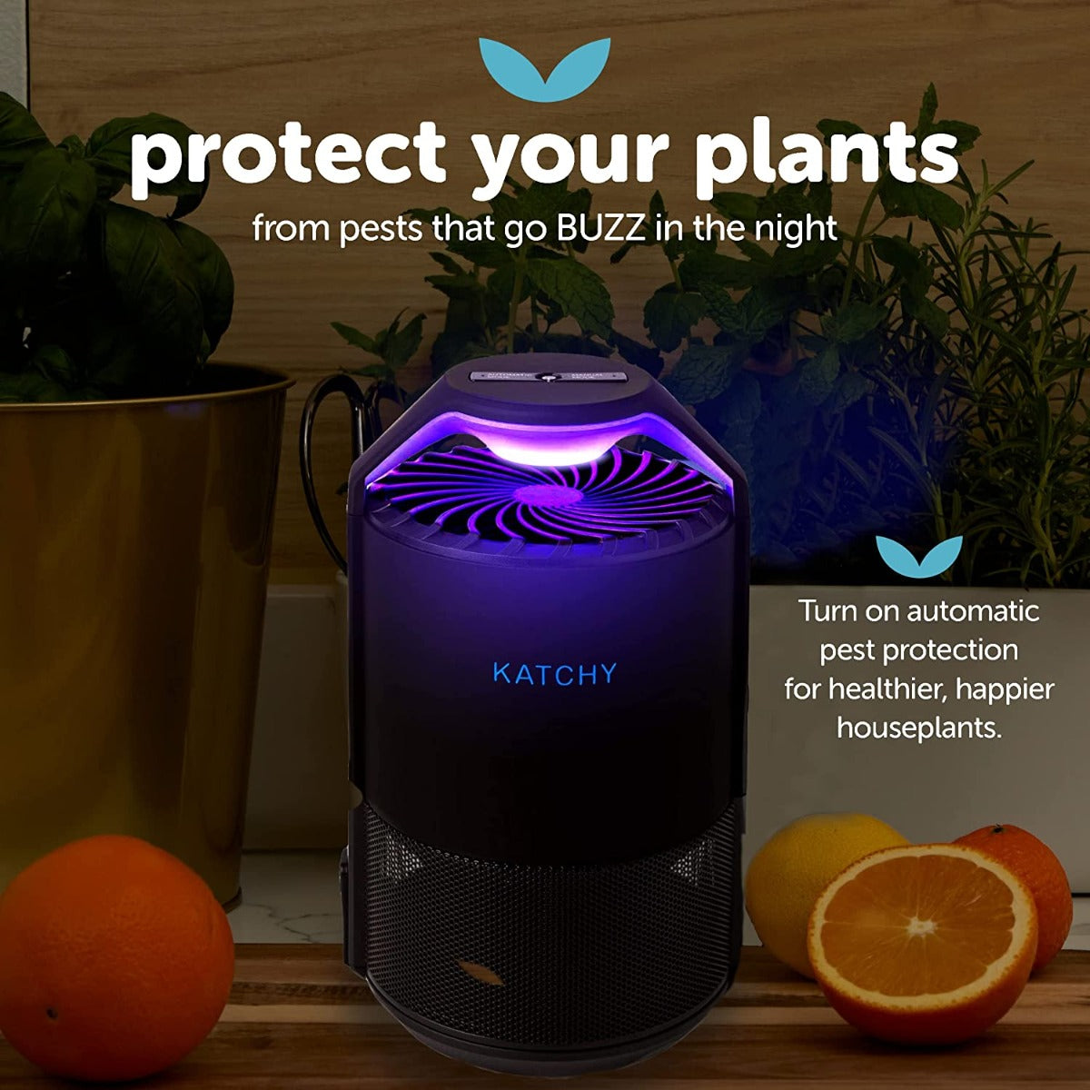 Katchy Automatic Indoor Insect and Flying Bugs Trap with UV Light Fan, Sticky Glue Boards, No Zapper, Light Sensor