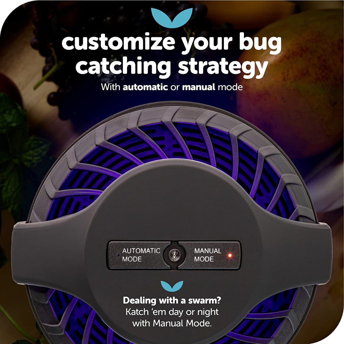 Katchy Automatic Indoor Insect and Flying Bugs Trap with UV Light Fan, Sticky Glue Boards, No Zapper, Light Sensor