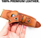 KrazyTag Airtag Dog and Cats Luxurious Leather Collar with Built-in Tag Space – with Apple AirTag Holder