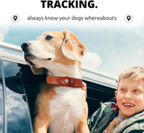 KrazyTag Airtag Dog and Cats Luxurious Leather Collar with Built-in Tag Space – with Apple AirTag Holder