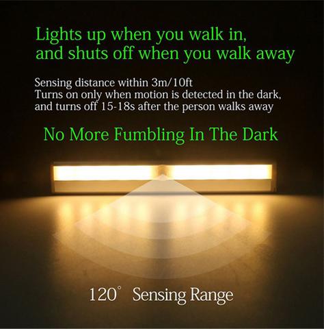 Induction LED Light with Motion Sensor