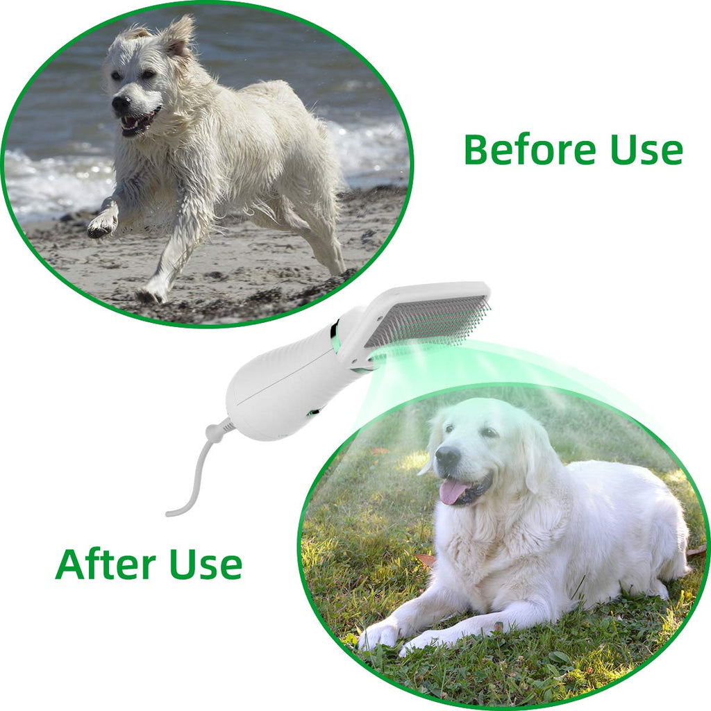 LIVEKEY 2 in 1 Pet Grooming Hair Dryer