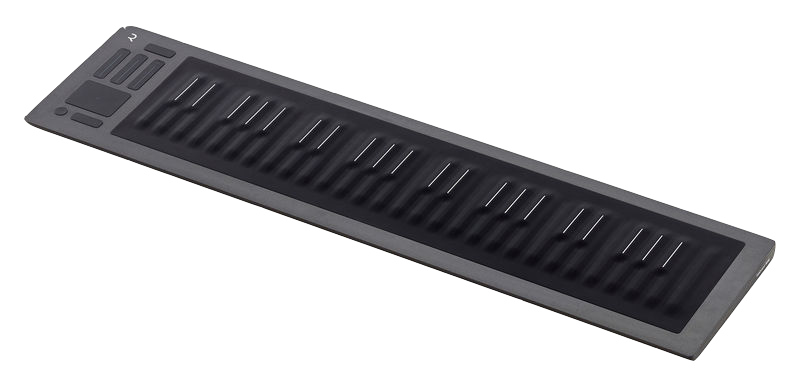 Seaboard RISE 49