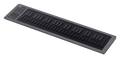 Seaboard RISE 49