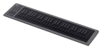 Seaboard RISE 49