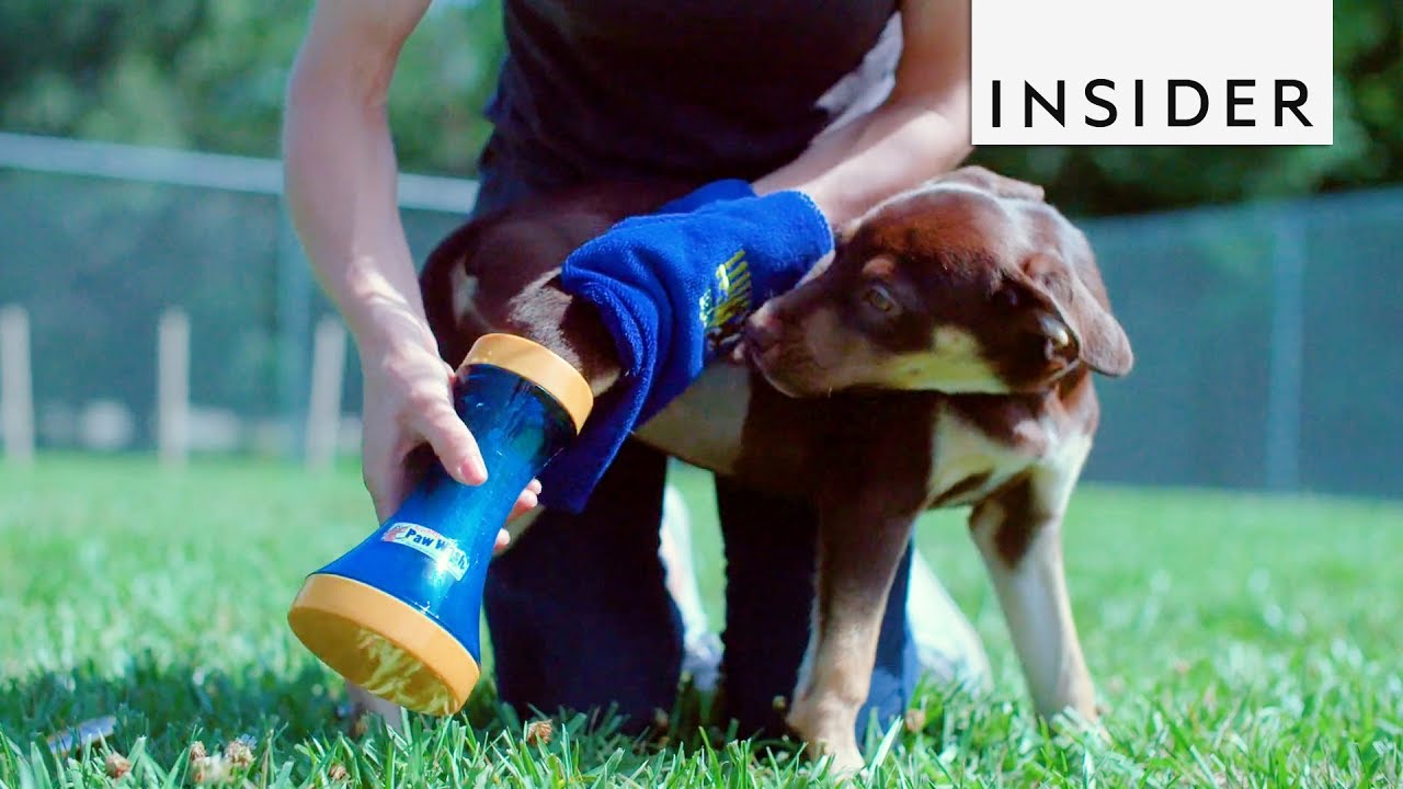 Brushless Paw Wash Bottle