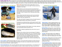 Mini Portable Solar Oven