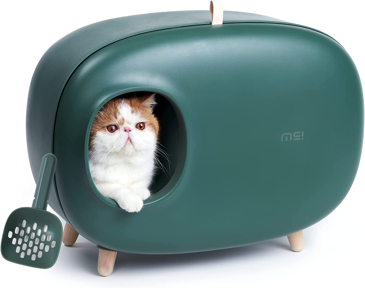MS!MAKE SURE Cat Litter Box, Enclosed Design, Large Space with Lid, Prevent Sand Leakage and Isolate Odors, Easy to Clean, includes Cat Litter Scoop