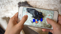 GoBone - Pet Smart Bone