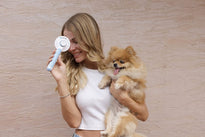 Pawdoria Self Cleaning Grooming Slicker Brush for Cats and Dogs