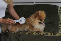 Pawdoria Self Cleaning Grooming Slicker Brush for Cats and Dogs