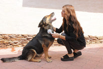 Pawdoria Self Cleaning Grooming Slicker Brush for Cats and Dogs