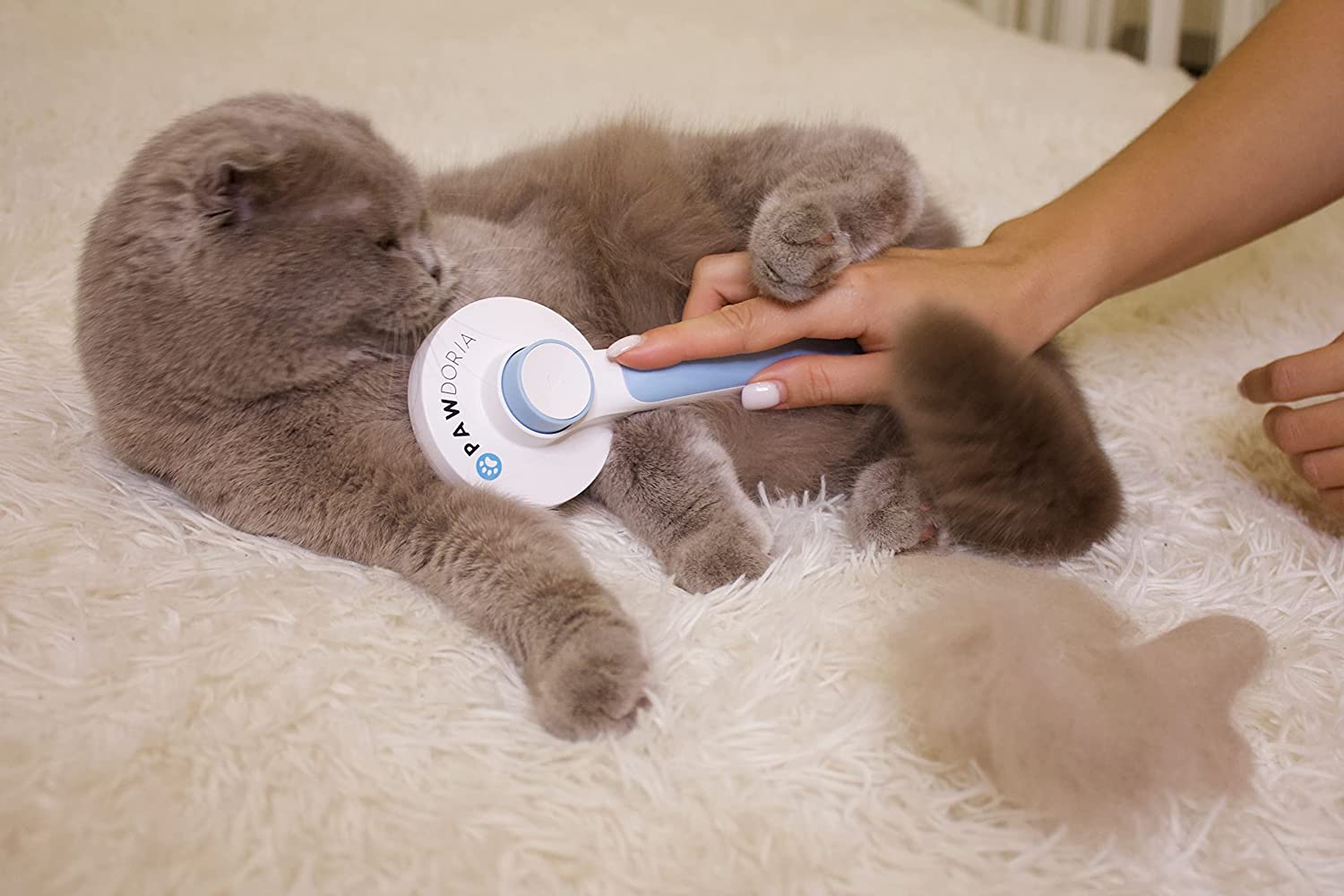 Pawdoria Self Cleaning Grooming Slicker Brush for Cats and Dogs