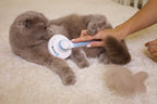 Pawdoria Self Cleaning Grooming Slicker Brush for Cats and Dogs