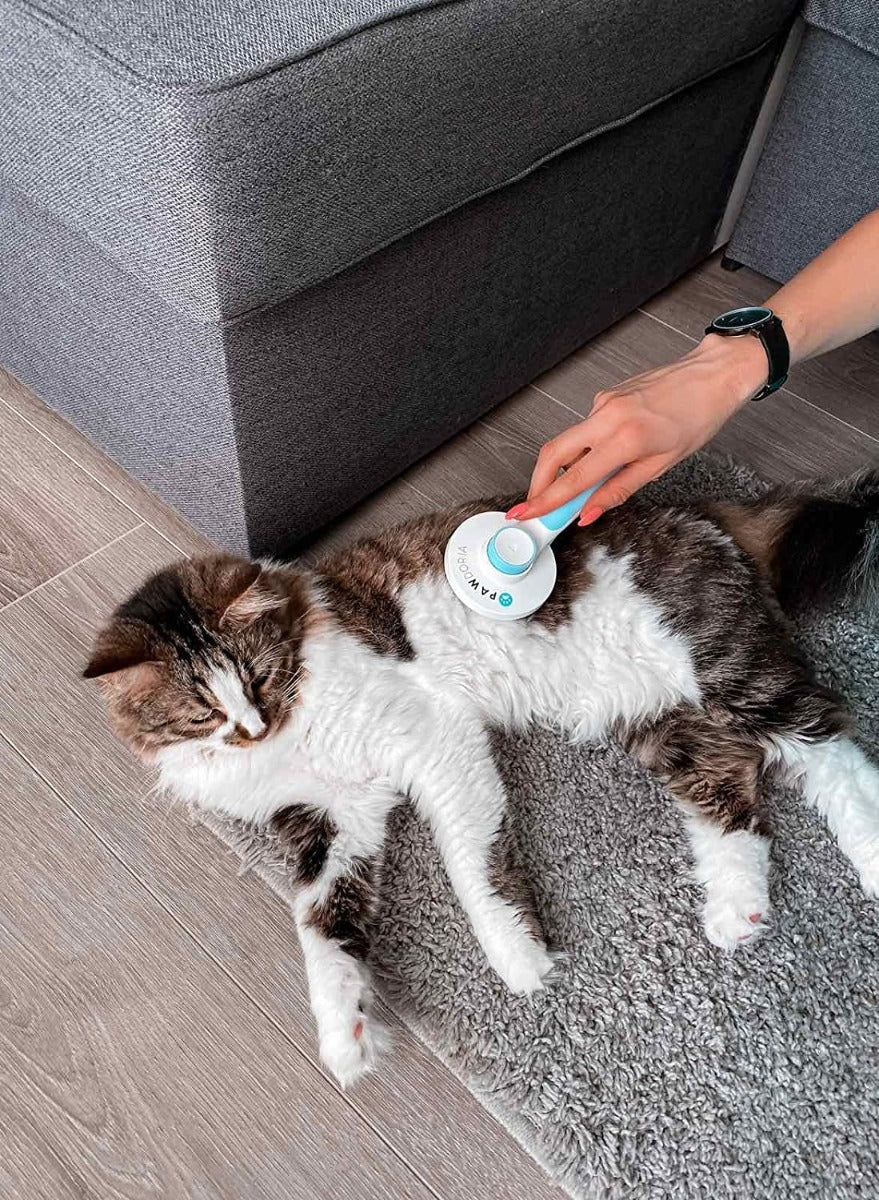 Pawdoria Self Cleaning Grooming Slicker Brush for Cats and Dogs