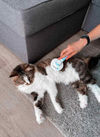 Pawdoria Self Cleaning Grooming Slicker Brush for Cats and Dogs