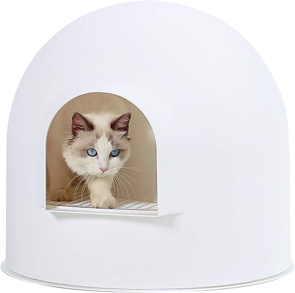 Pidan Extra Large Igloo Cat Dome Litter Box with Modern Minimalist Design