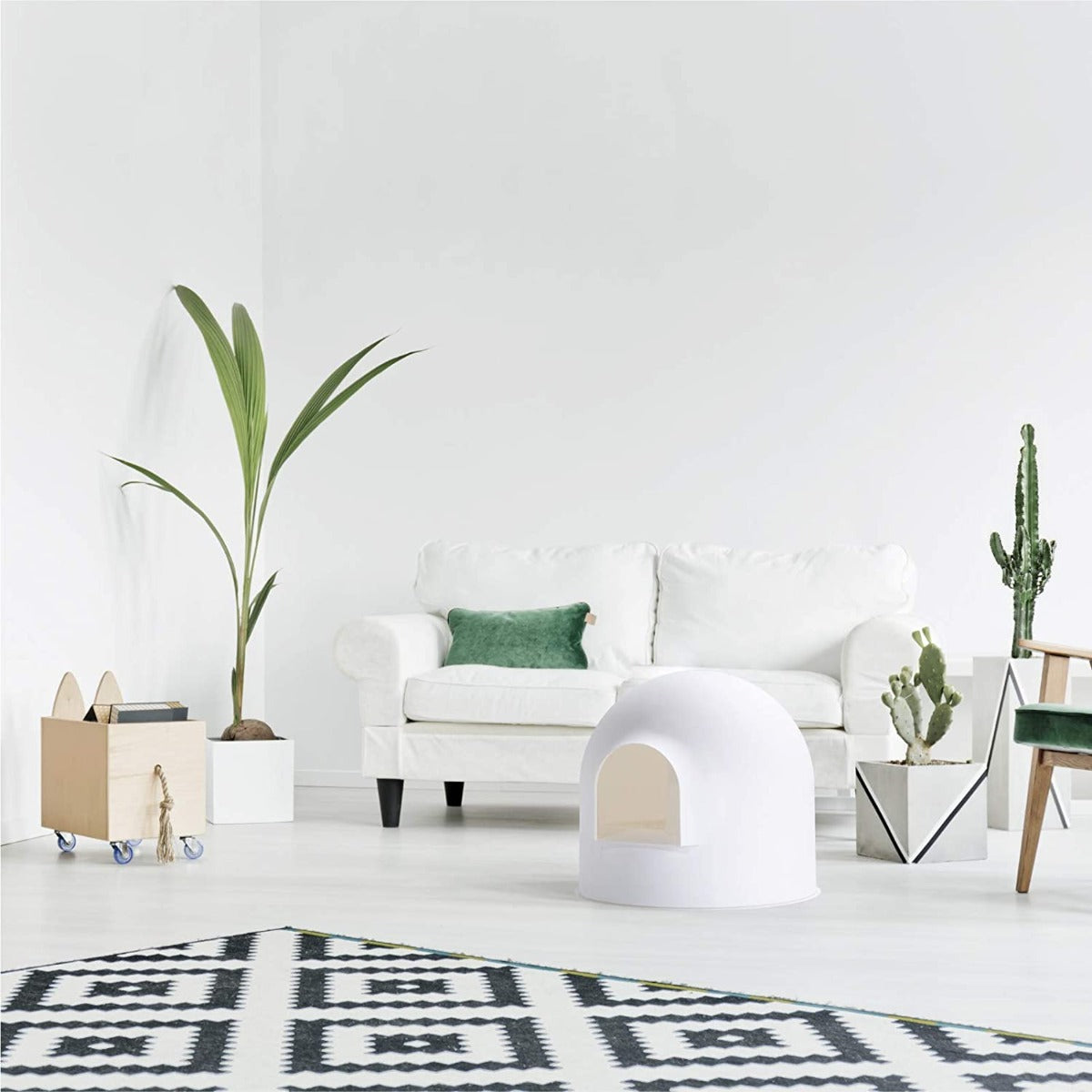 Pidan Extra Large Igloo Cat Dome Litter Box with Modern Minimalist Design