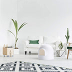 Pidan Extra Large Igloo Cat Dome Litter Box with Modern Minimalist Design