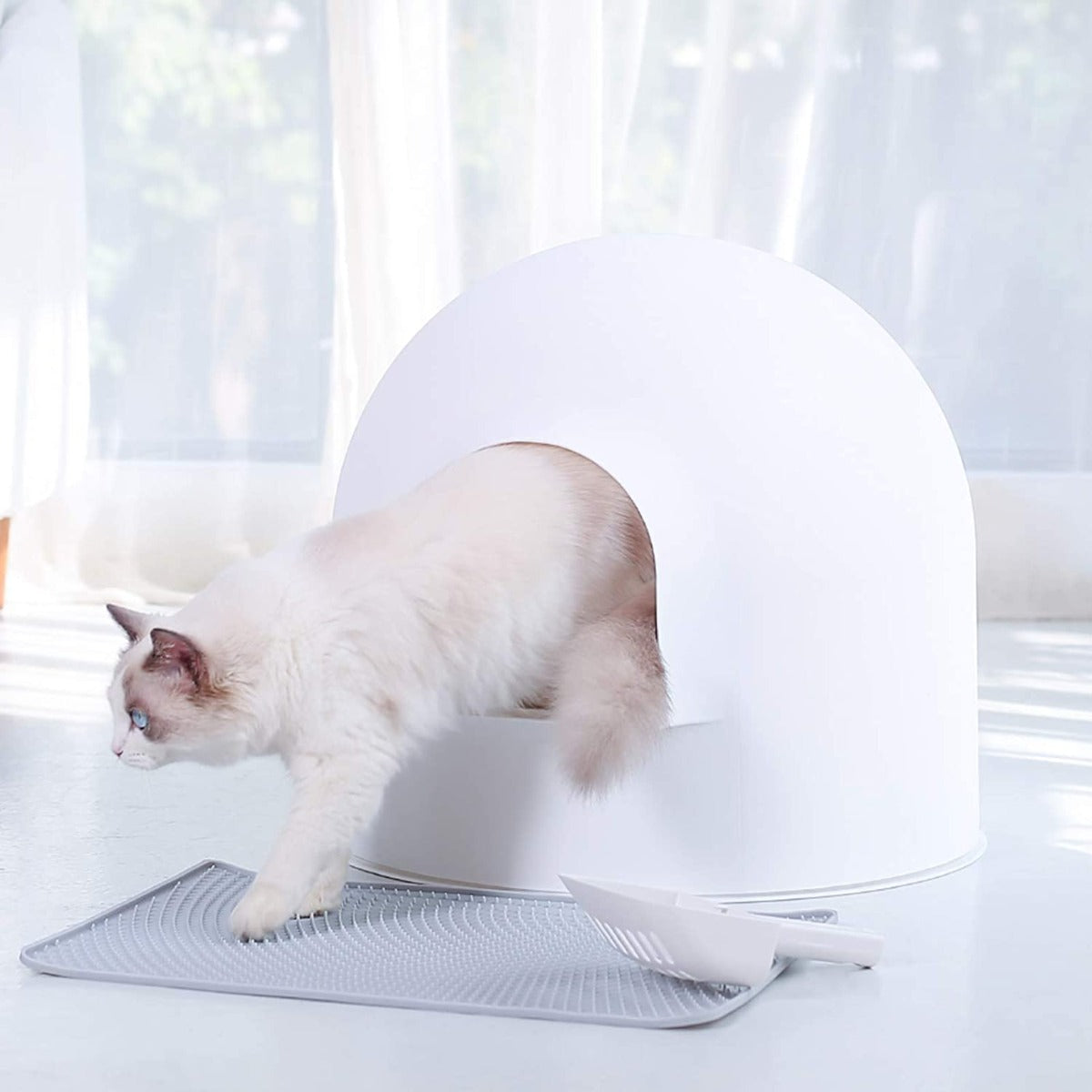 Pidan Extra Large Igloo Cat Dome Litter Box with Modern Minimalist Design