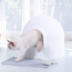 Pidan Extra Large Igloo Cat Dome Litter Box with Modern Minimalist Design