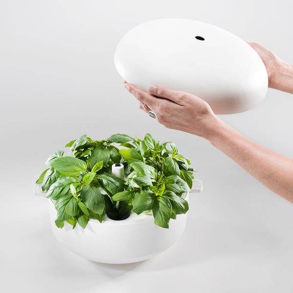 Plantui Smart Garden