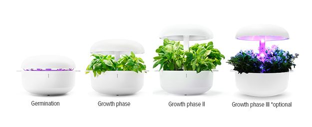 Plantui Smart Garden