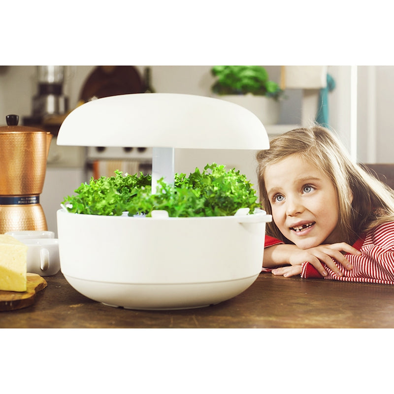 Plantui Smart Garden