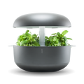Plantui Smart Garden