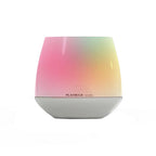 Playbulb Smart Lighting
