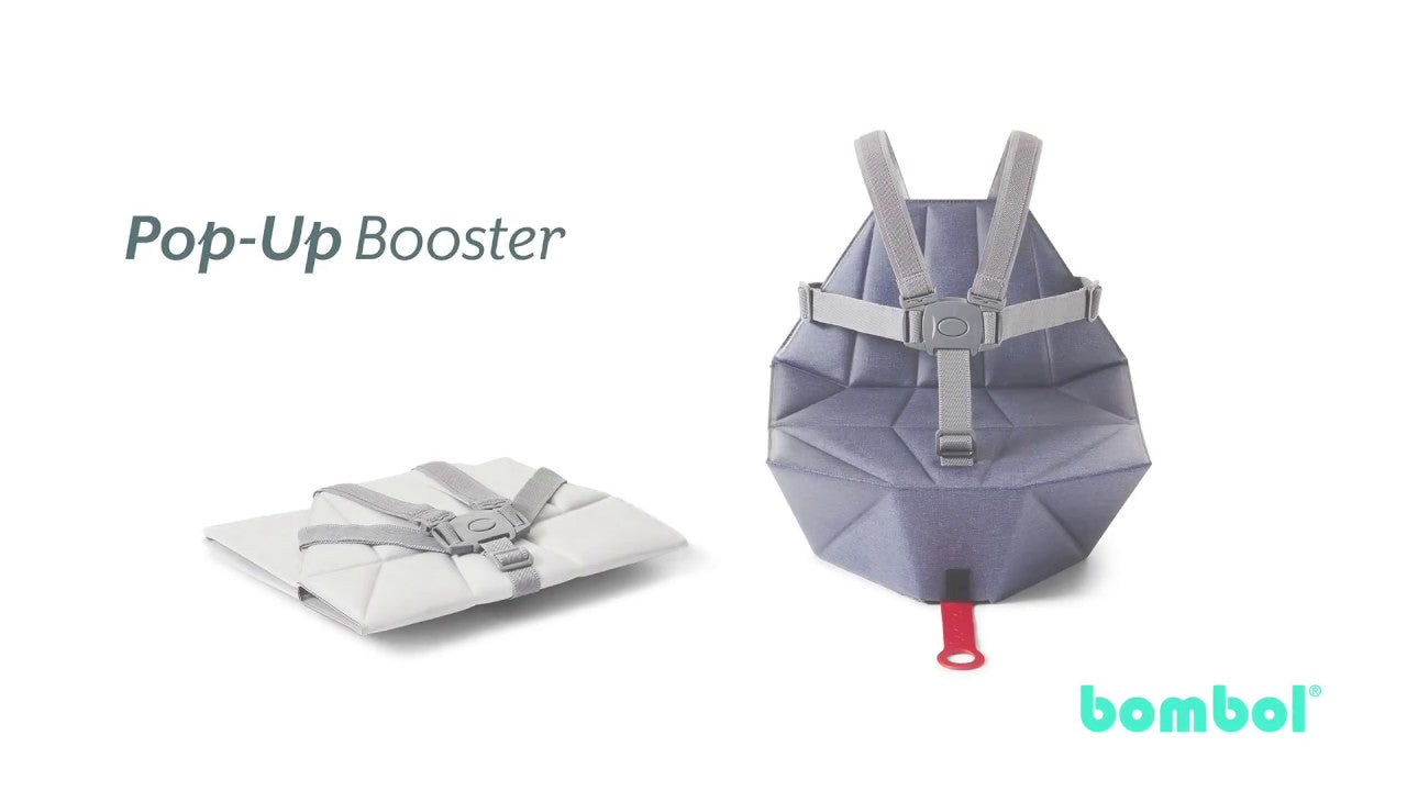 Pop-Up Booster & Carry Bag/Seat Cover