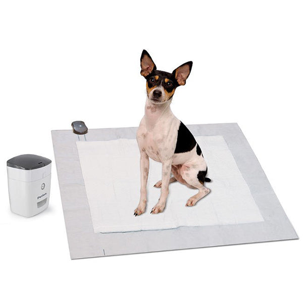 Potty Training System