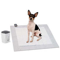 Potty Training System