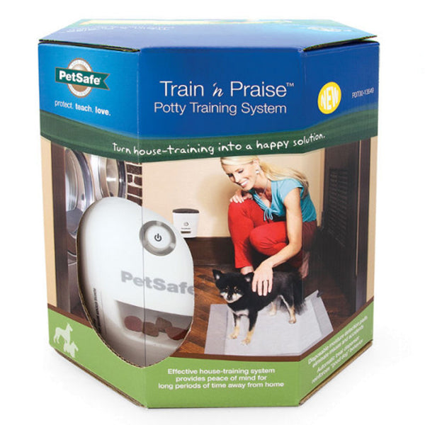 Potty Training System