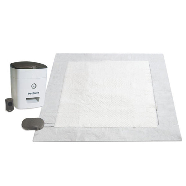 Potty Training System