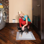 Potty Training System