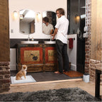 Potty Training System