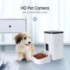 PUMPKII 4L Programmable Automatic Dog Feeder with Camera for Cats and Small Dogs