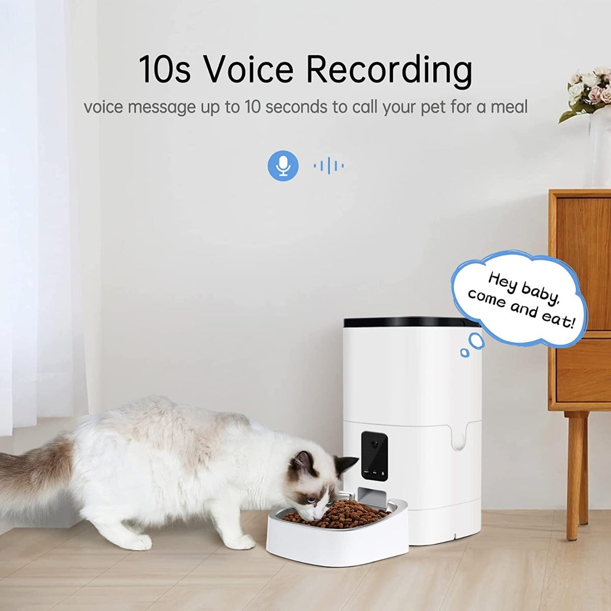 PUMPKII 4L Programmable Automatic Dog Feeder with Camera for Cats and Small Dogs