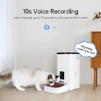 PUMPKII 4L Programmable Automatic Dog Feeder with Camera for Cats and Small Dogs